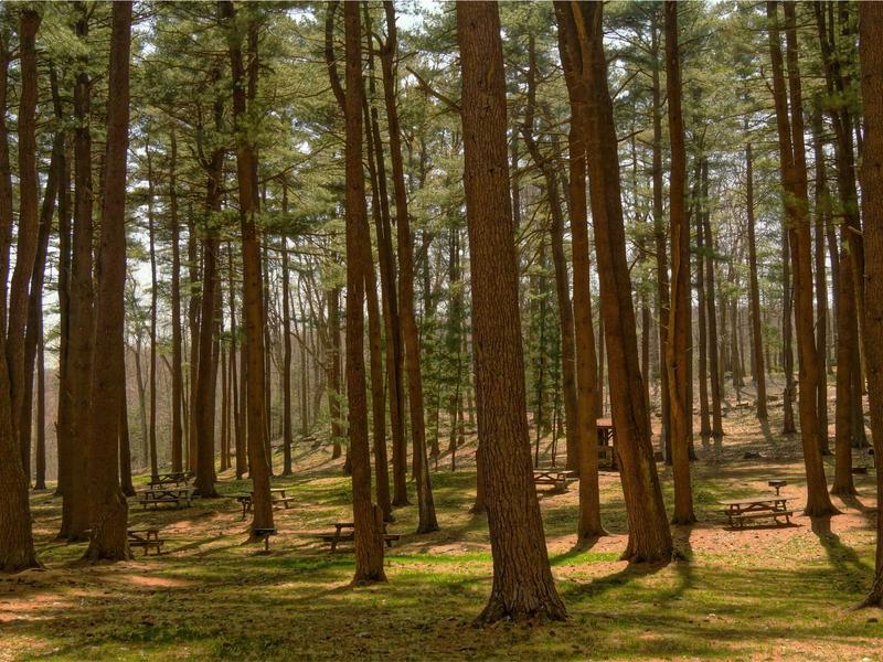 sudoku pointing pairs screenshot 4